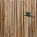 lampy bambusowe